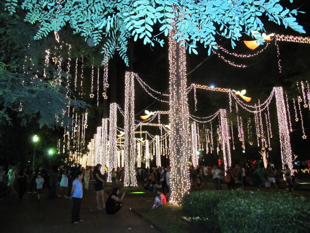 Sob as luzes do Natal... -  Under the lights of Christmas..., Белу-Оризонти