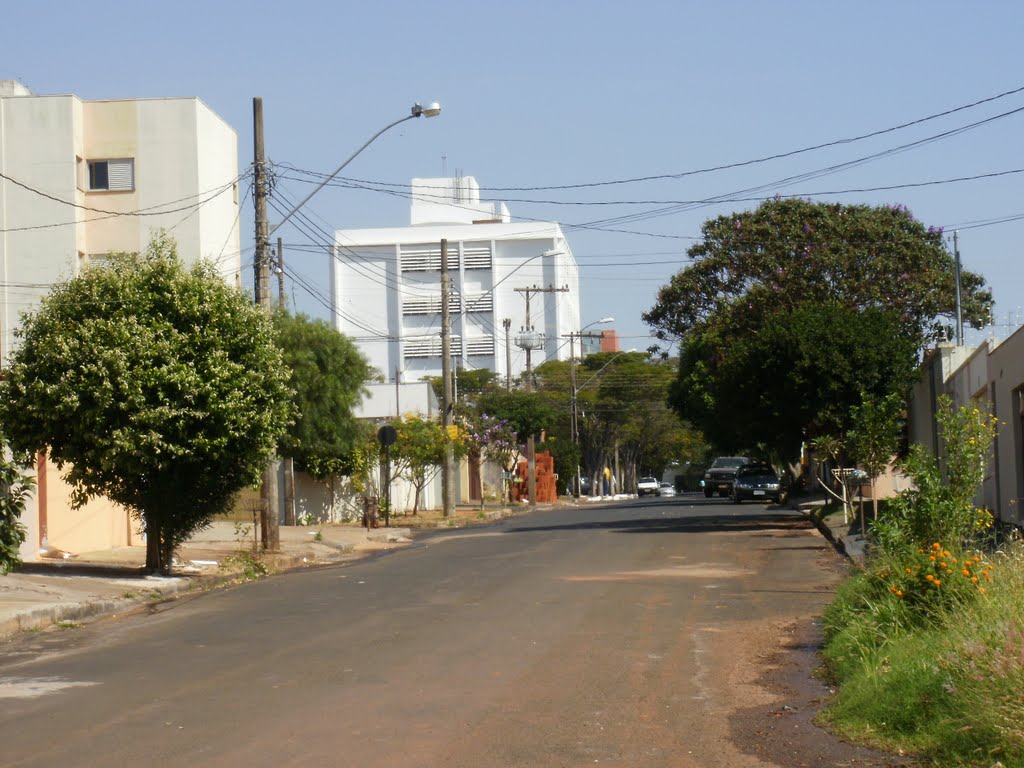 Centro de Formação Permanente - UFU - Uberlândia-MG, Жуис-де-Фора