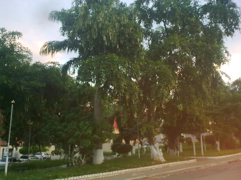 Praça  principal do Bairro de Fátima, Теофилу-Отони