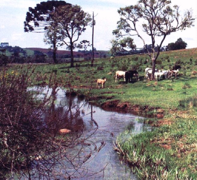 Fazenda em Reserva, Кампина-Гранде