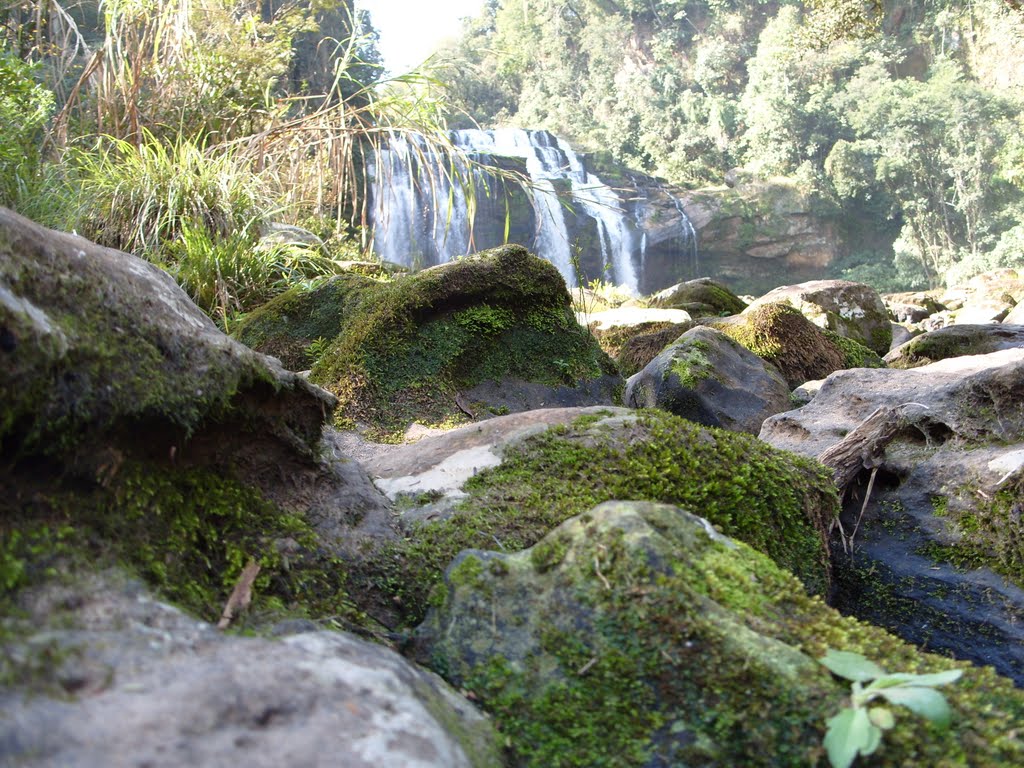 Cachoeira, Pedras,musgos, árvores e vegetação., Кампина-Гранде