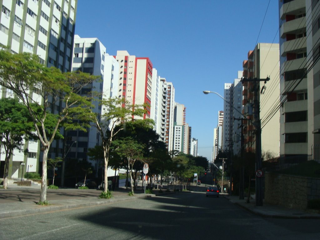 Avenida Padre Anchieta - Bigorrilho em Curitiba - Paraná, Куритиба