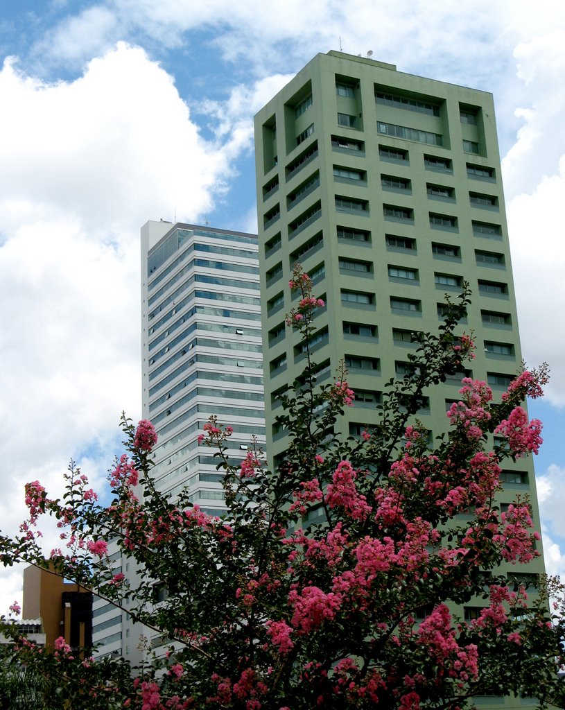 Curitiba, PR, Brasil., Куритиба