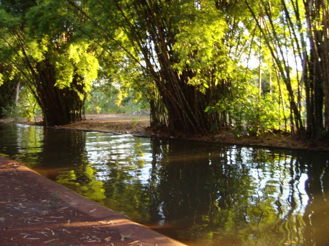 Lago  Igapó - Londrina - Paraná, Лондрина