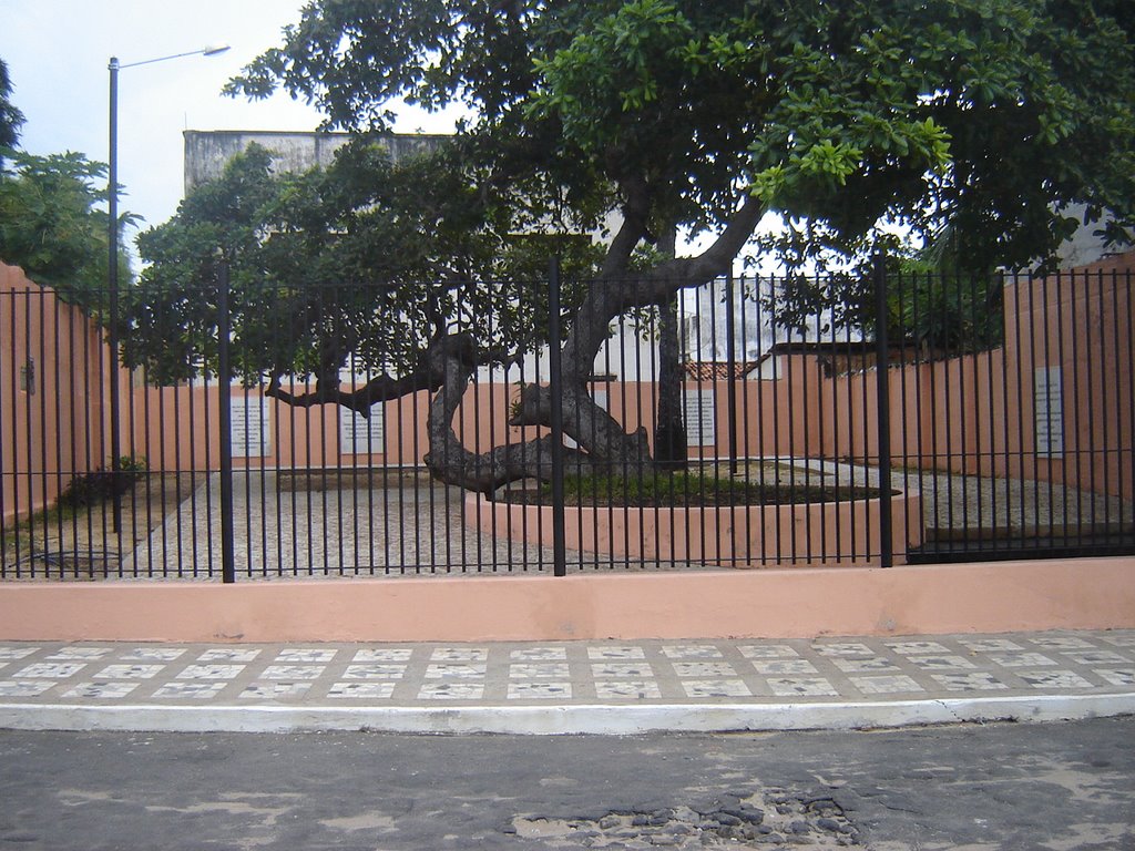 Cajueiro de Humberto de Campos, Парнаиба