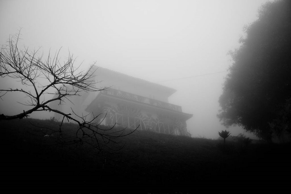 Neblina - Fog, Петрополис
