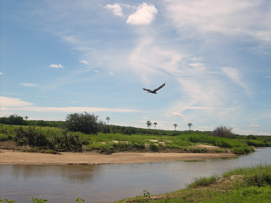 Voar sobre o rio... Mineiro 2009, Кайку