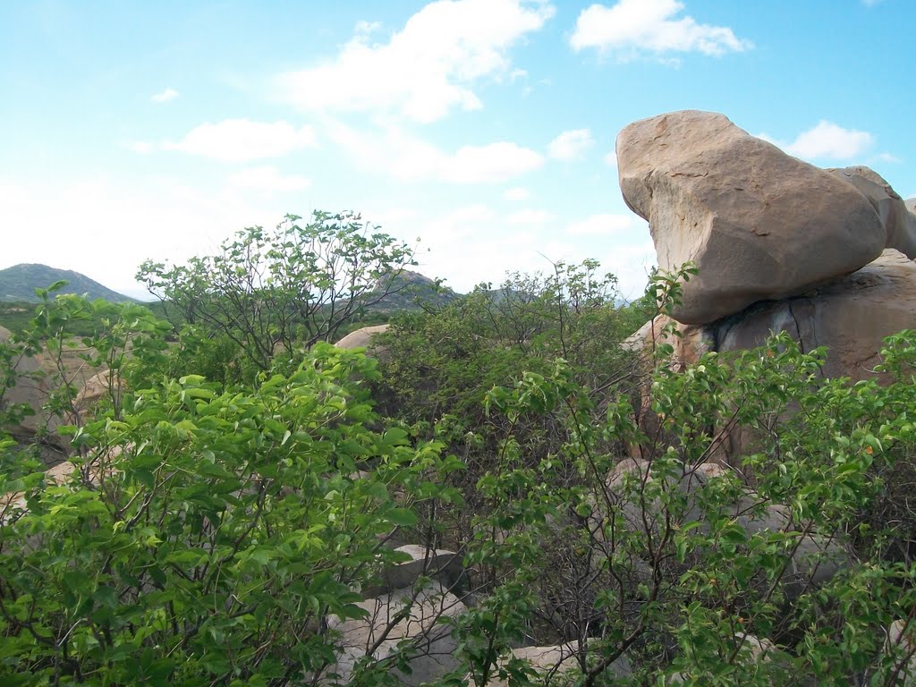 Granitóides e suas feições curiosas, Моссору