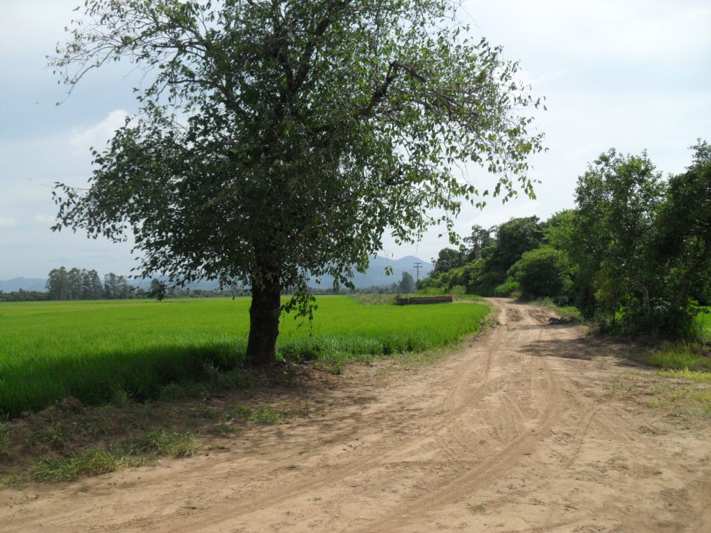 estrada  de  lavouras, Кахиас-до-Сул