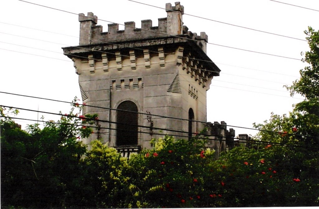 Castelo Simões Lopes, linda e imponente arquitetura..., Пелотас