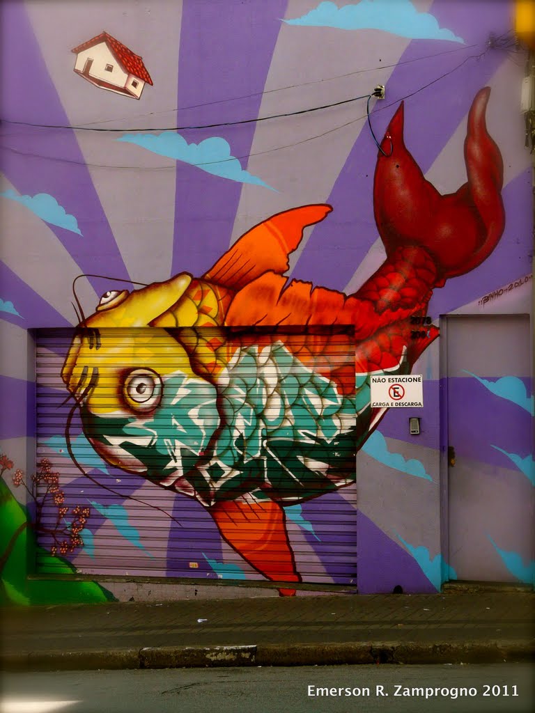 fachada de loja na Rua Augusta decorada com trabalho de Binho Ribeiro 金魚 ezamprogno, Барретос