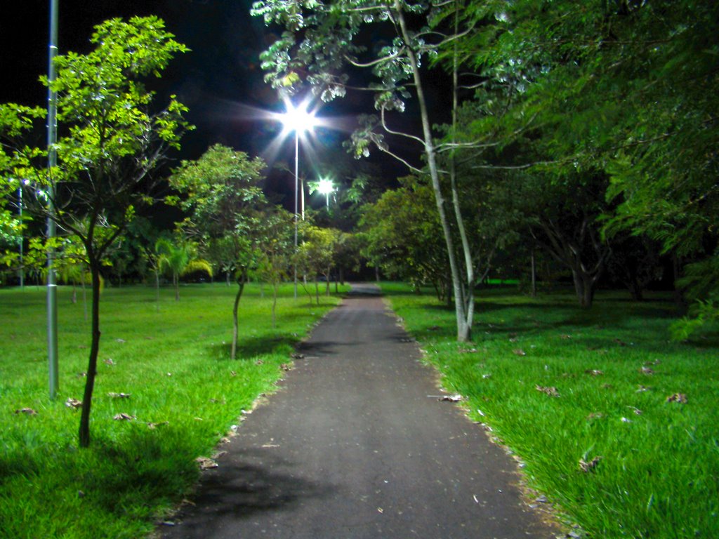 Noite no parque do Rio Jaú, Жау