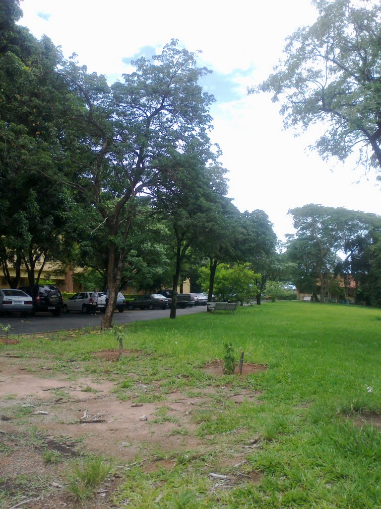 Jardim do Hospital Emilio Carlos - Catanduva-SP, Катандува