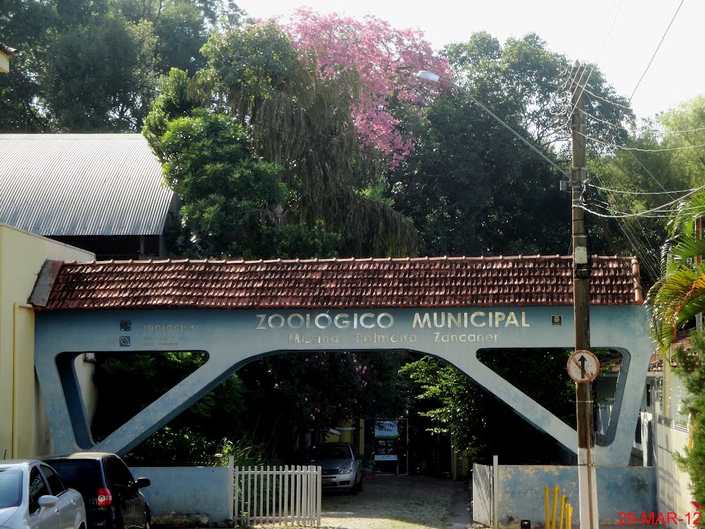 O Zoológico Municipal de Catanduva "Missina Palmeira Zancaner" conta com 300 animais de 70 espécies diferentes em uma área de mata nativa preservada perto do centro da cidade., Катандува