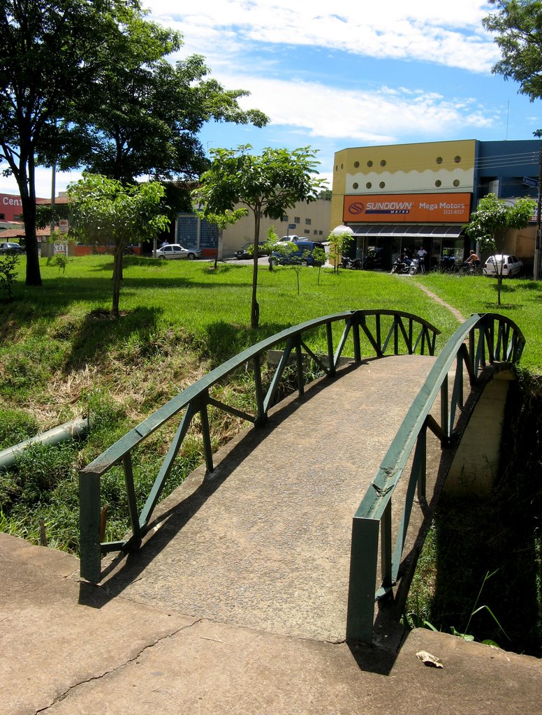 Ponte sobre rio São Domingos, Catanduva, SP, Brasil., Катандува