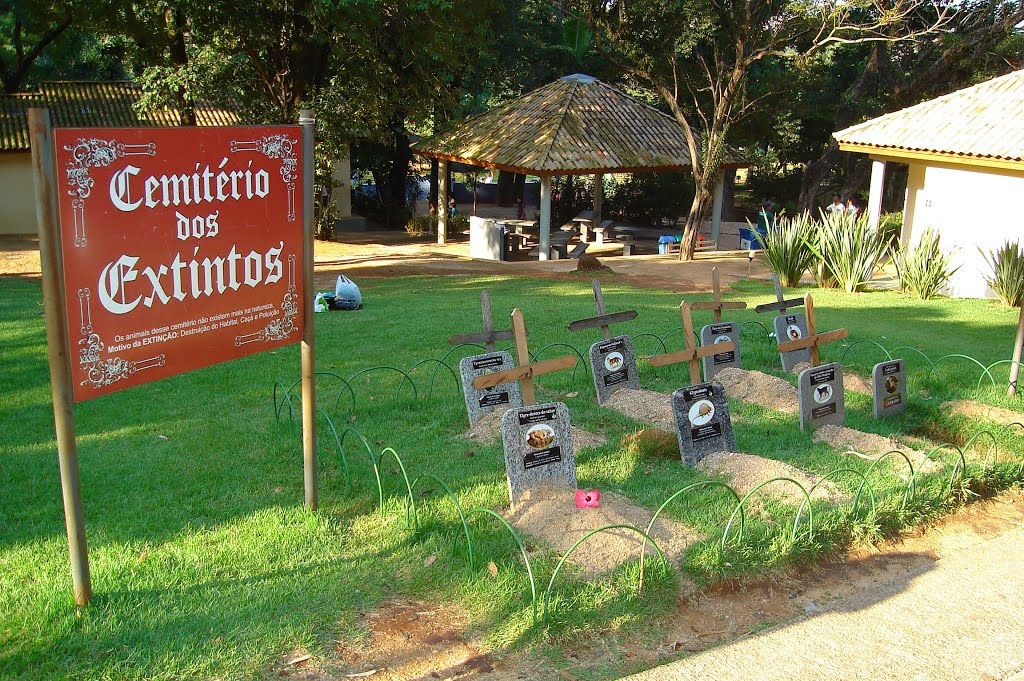 Cemitério dos animais extintos, Сорокаба