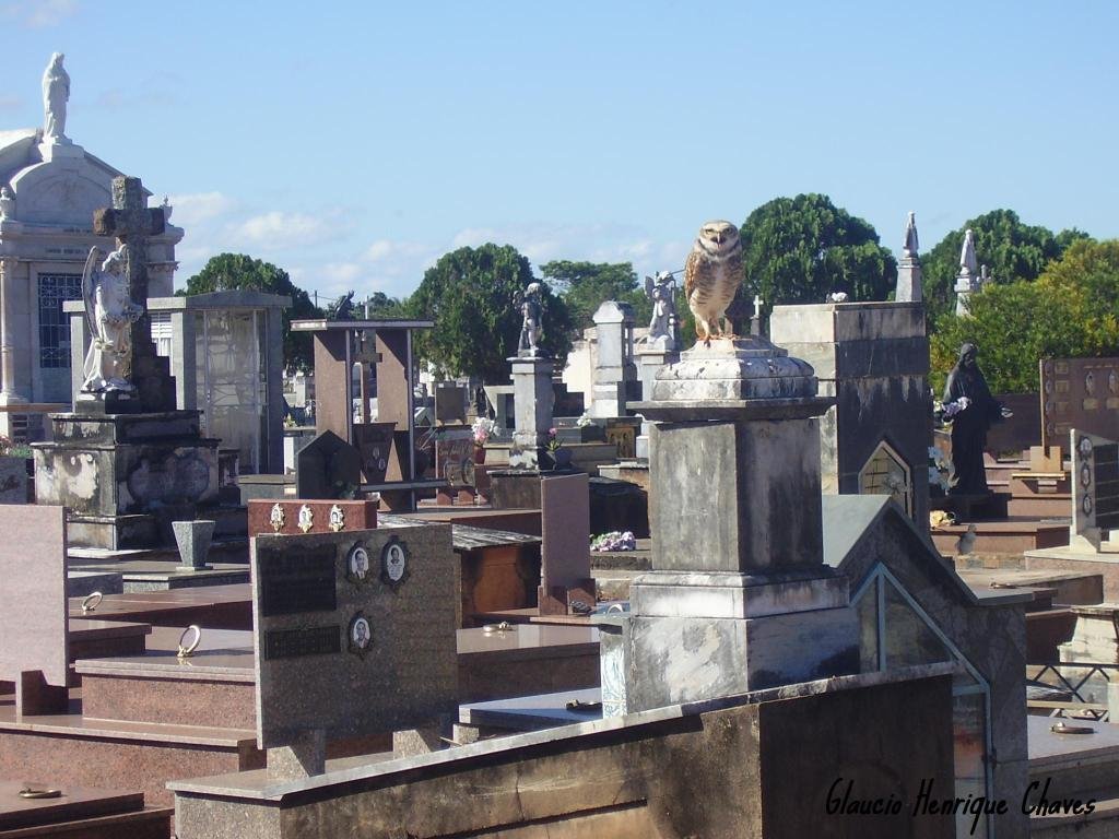 * Cemitério de Araguari, Арагуари