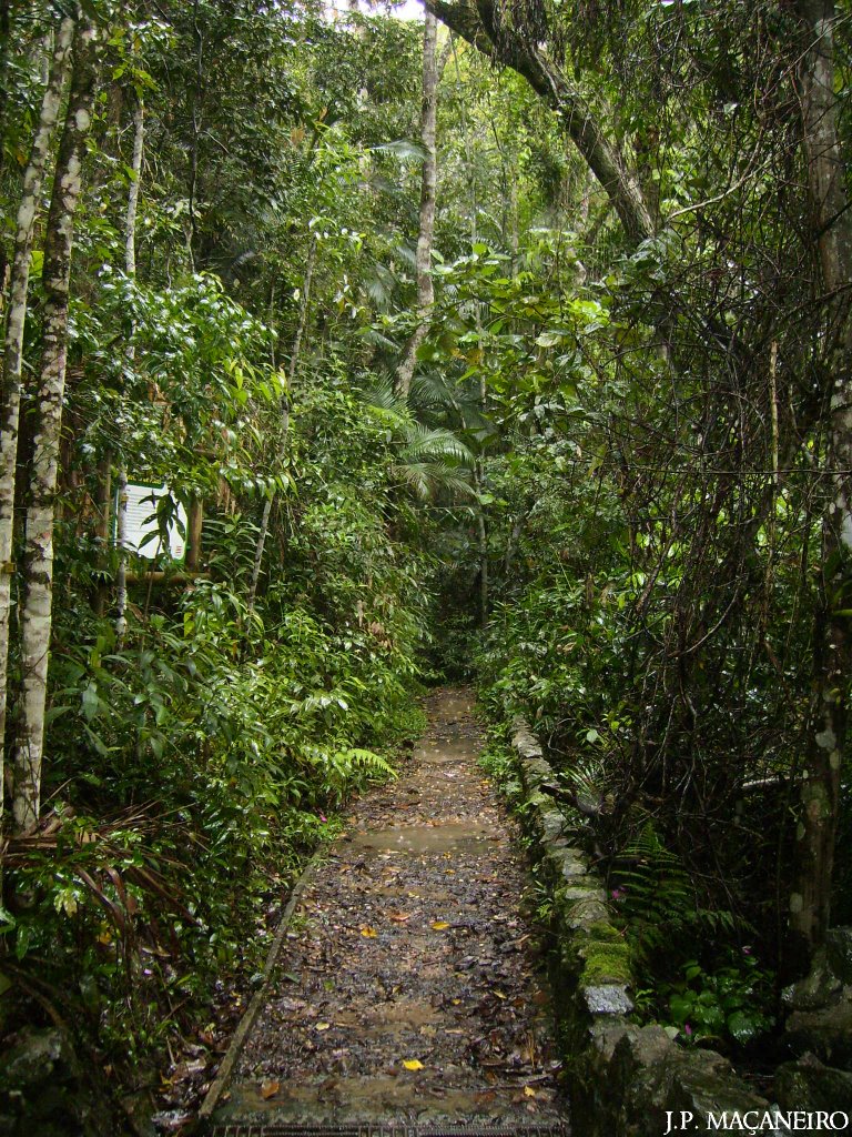 Parque Natural Municipal São Francisco de Assis - Entrada, Блуменау