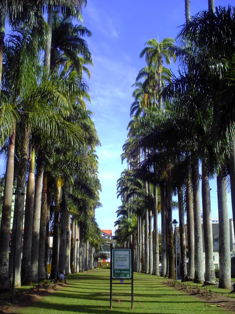 Rua das Palmeiras, Жоинвиле