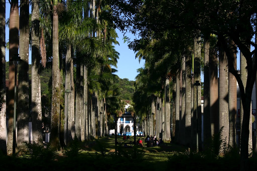 Rua das Palmeiras, Joinville, Santa Catarina, Brasil, Жоинвиле