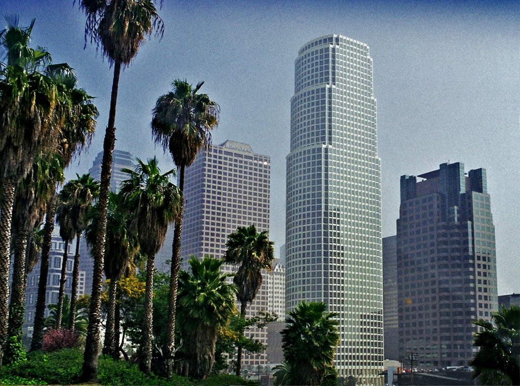 Palms and skyscrapers in LA, Лос-Анджелес