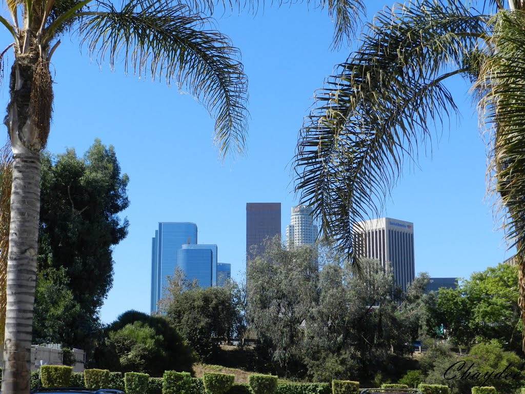 "Contrastes de Los Ángeles", Лос-Анджелес