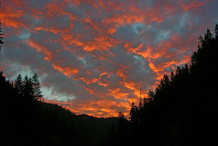 Dawn in South Fork Clearwater River canyon, Барли