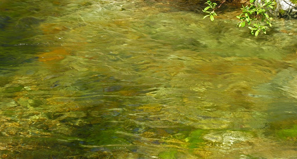 Waters of Crooked Fork Creek. Bitterroot Range, Idaho, Барли
