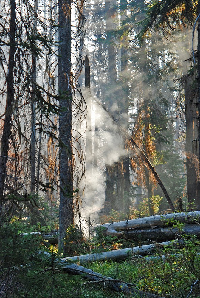 A "spot from "the Bridge" Forest Fire begins combustion at Swamp Creek, Bitterroot Mountains. Sept. 2007, Барли