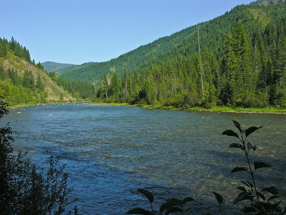North Fork Clearwater River just upstream from Cub Creek, Левистон