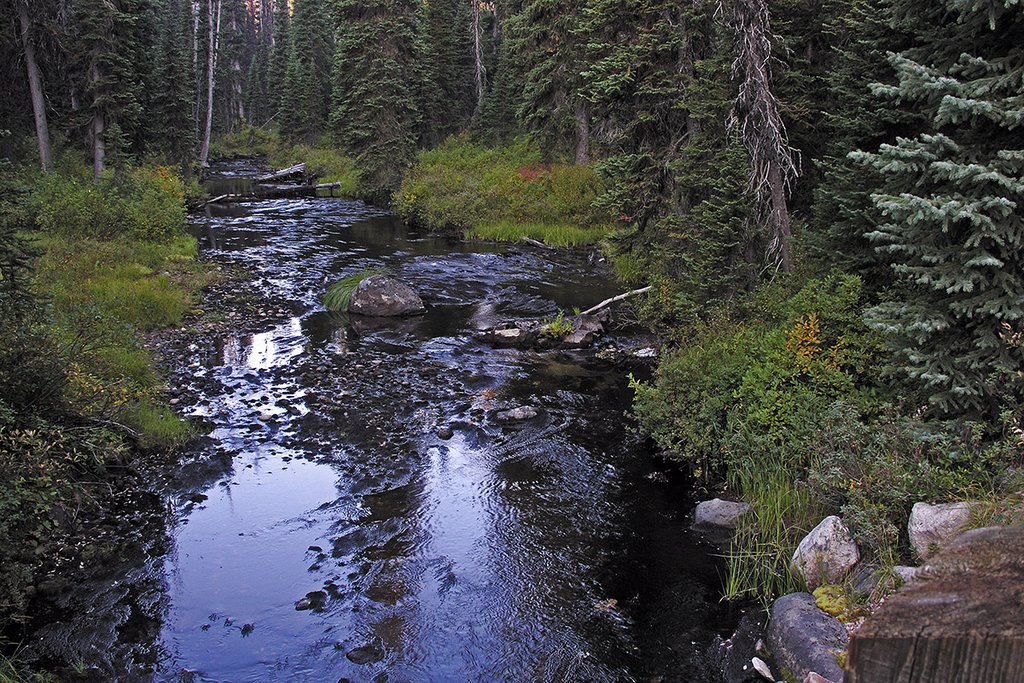 Colt Creek, a few miles south of Savage Pass, Bitterroot Mountains, Левистон