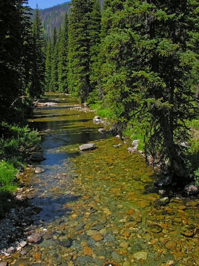Cayuse Creek. Clearwater Mtns., North Central Idaho, Монтпелье