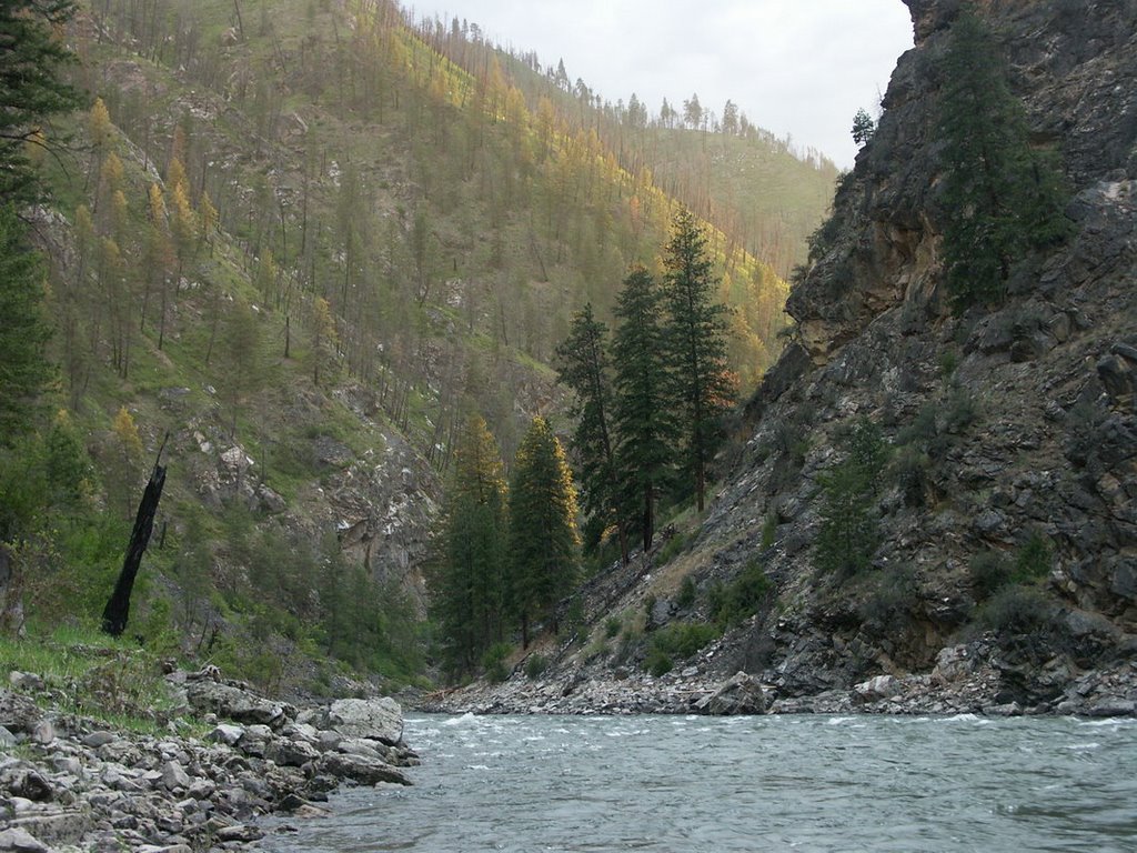 Wild and Scenic Salmon River, Рексбург
