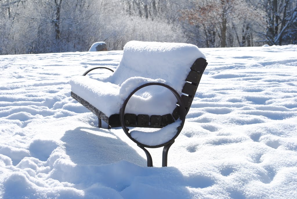 Hickory Hill Park, Snow Bench, Айова-Сити
