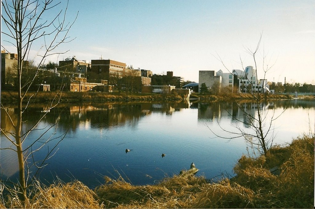 Iowa River mirror, Айова-Сити