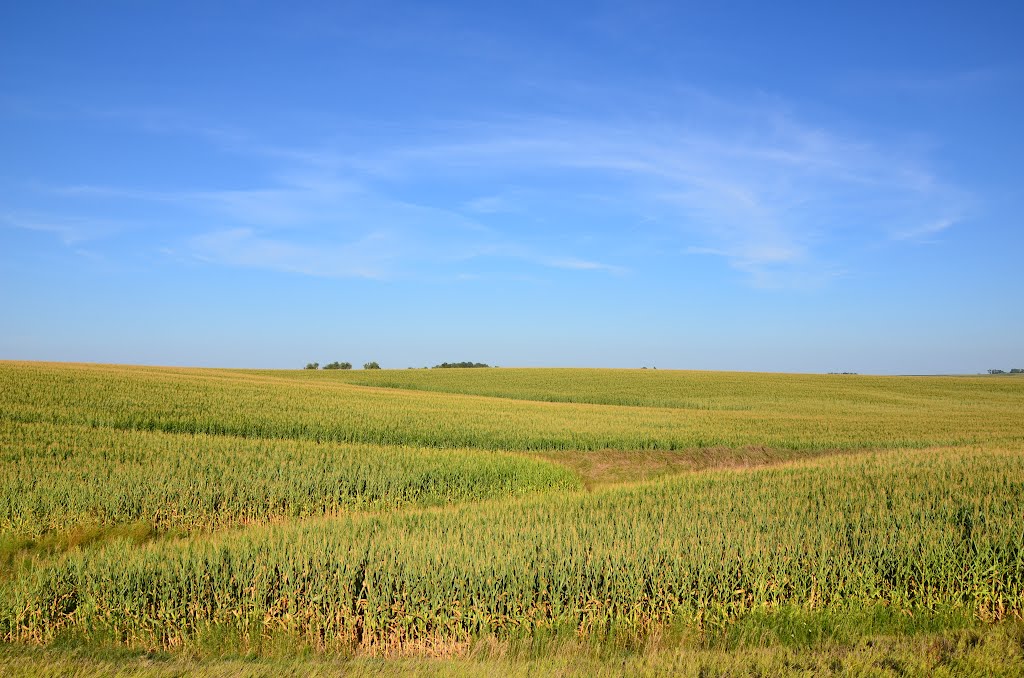 Endless Iowa Fields, Гилбертвилл