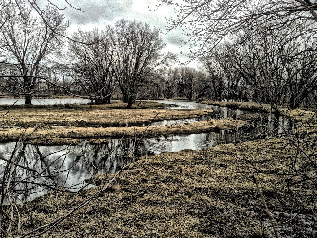 Buffalo Creek County Park - Coggon, Iowa, Гилбертвилл
