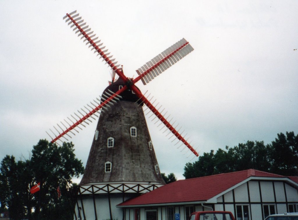 Danish Windmill, Гринфилд