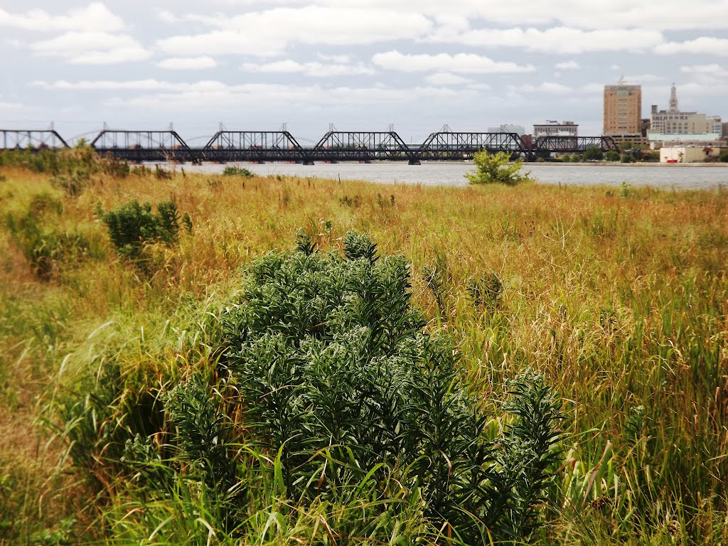 Prairie grass, Government Bridge, and Davenport, Давенпорт
