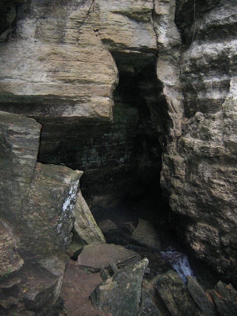 Cave at Dunnings Springs, Декора