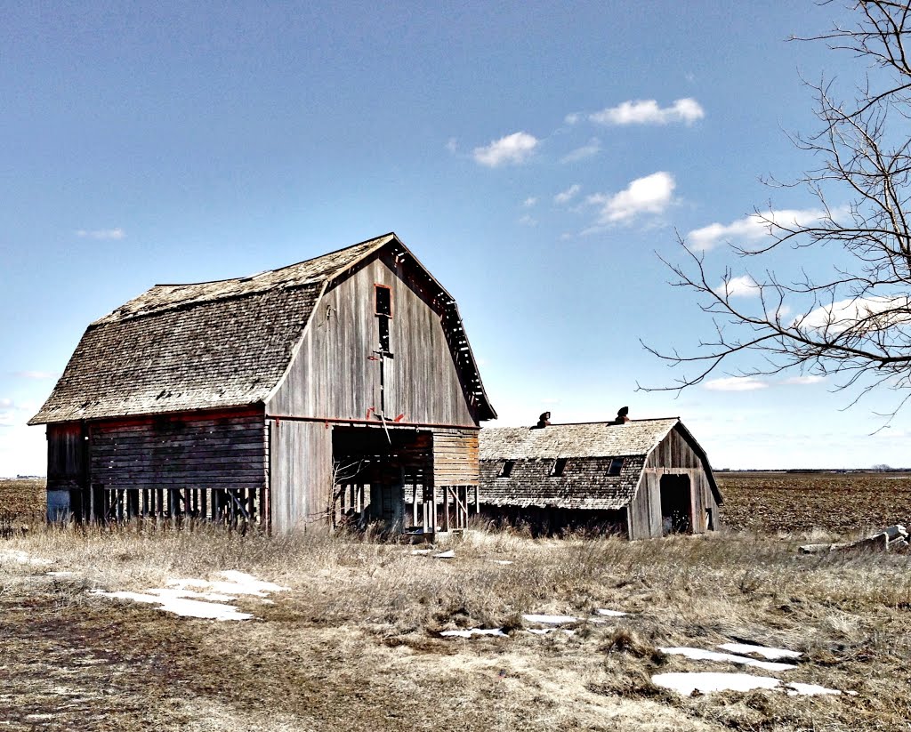 Old Wooden Barns, Денвер