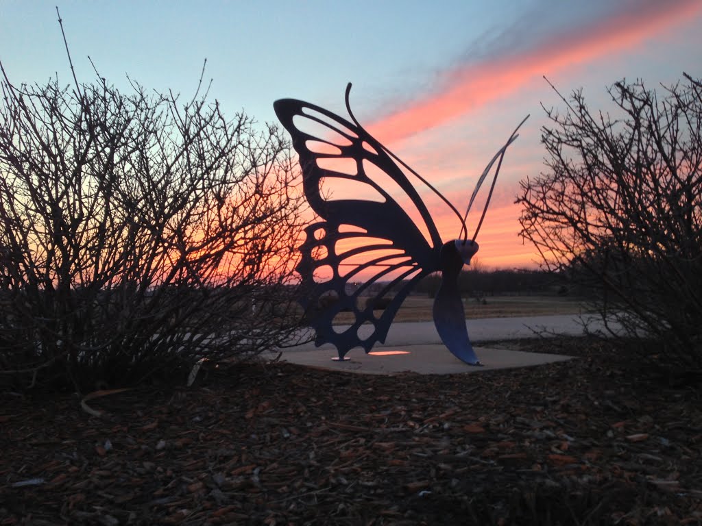 Butterfly Statue and Sunset, Денвер