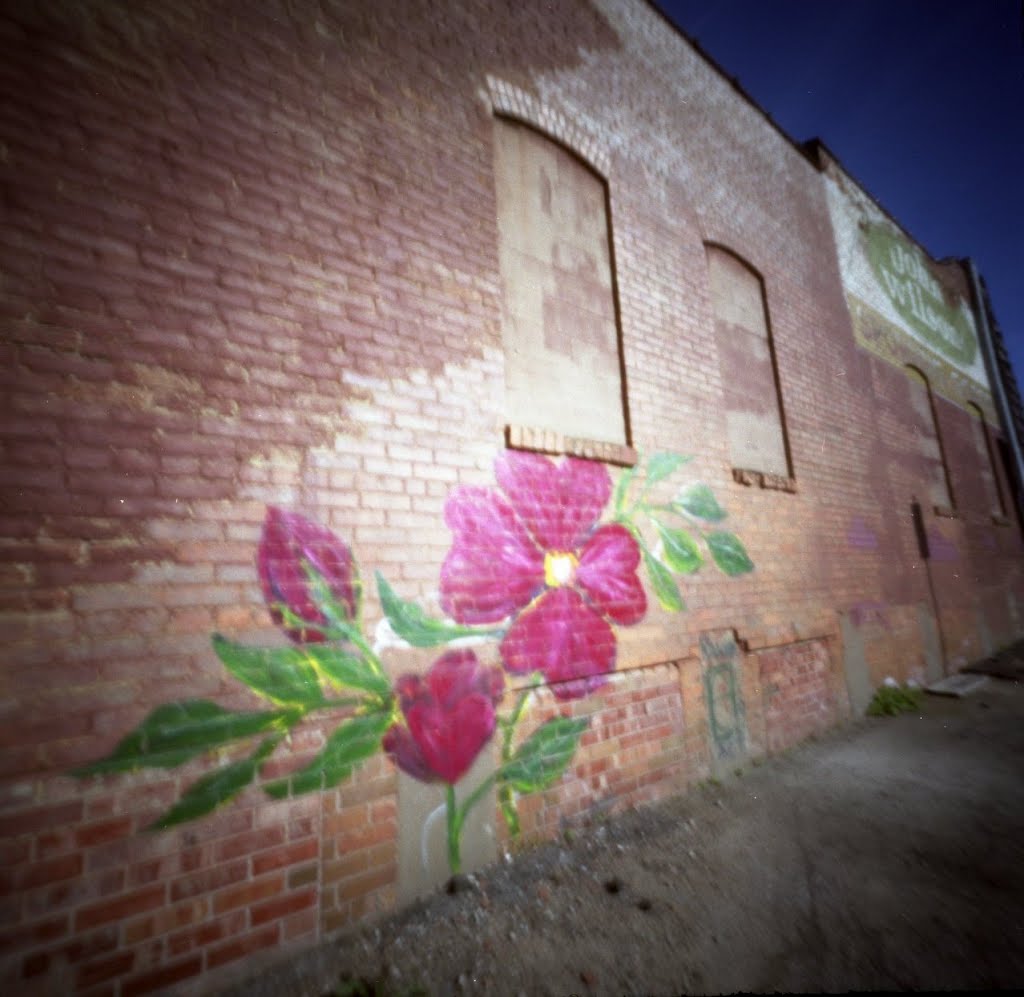 Pinhole, Iowa City, Graffiti (2012/APR), Кеокук