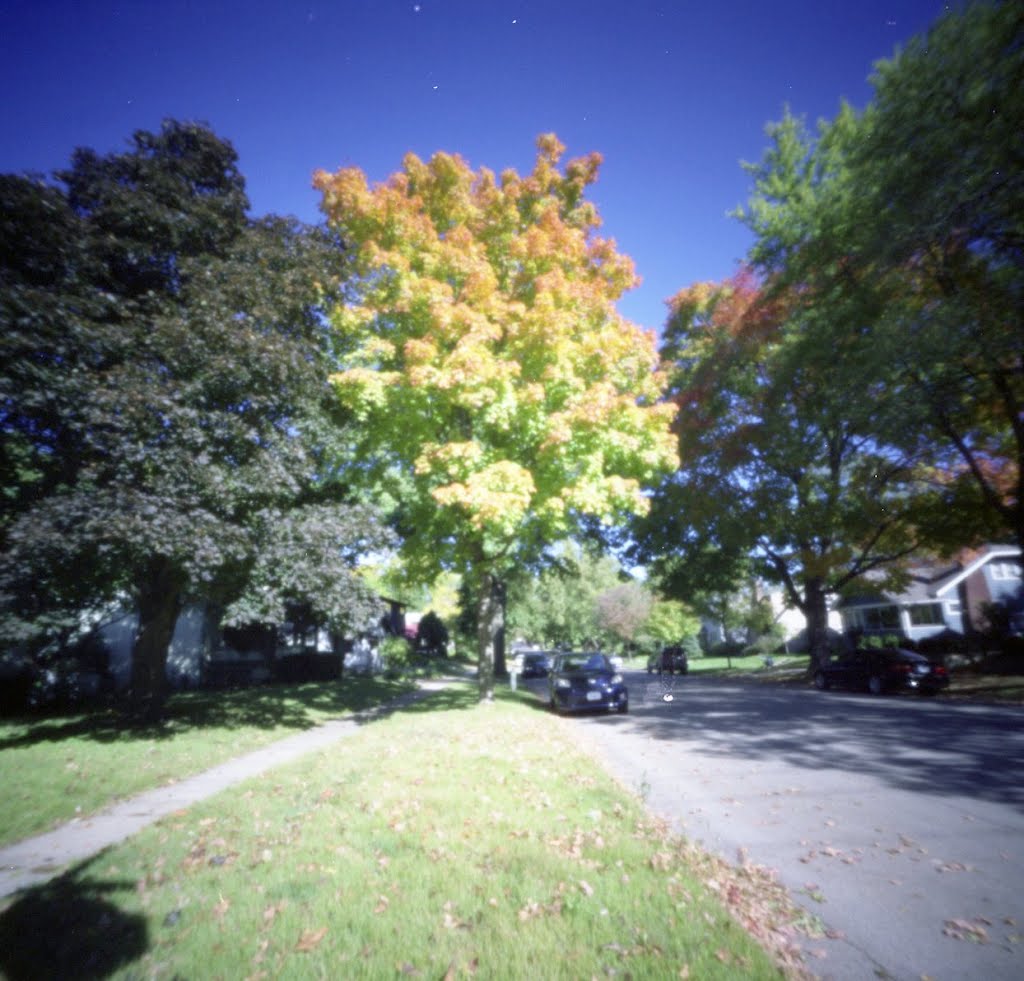 Pinhole Iowa City Fall (2011/OCT), Масон-Сити