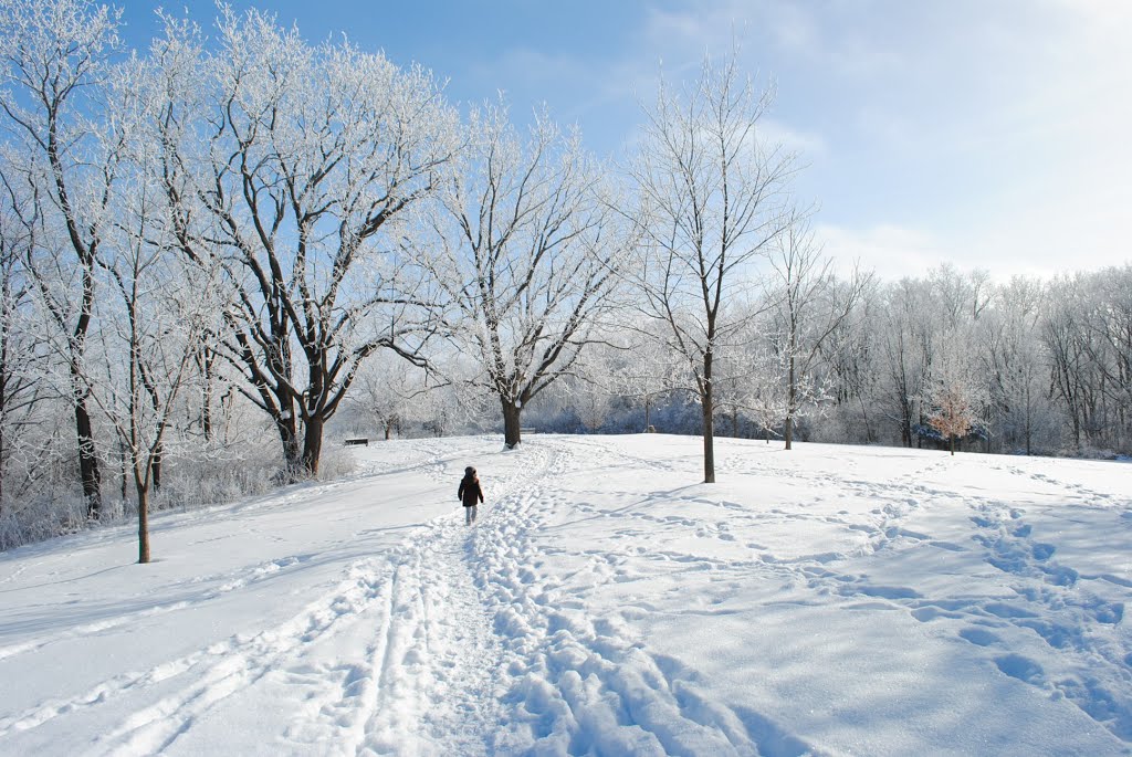 Hickory Hill Park, Масон-Сити