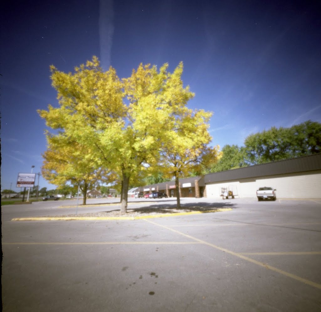 Pinhole Iowa City Parking Lot (2011/OCT), Ред-Оак