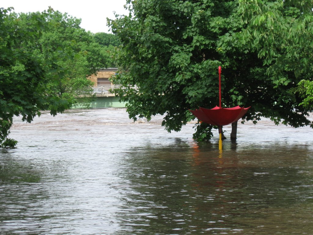 Flood of 2008: Cedar River behind The Library, Чарльс-Сити
