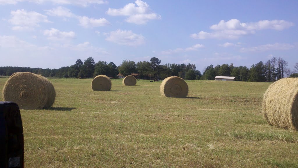 Stewart, Al hay pasture, Акрон