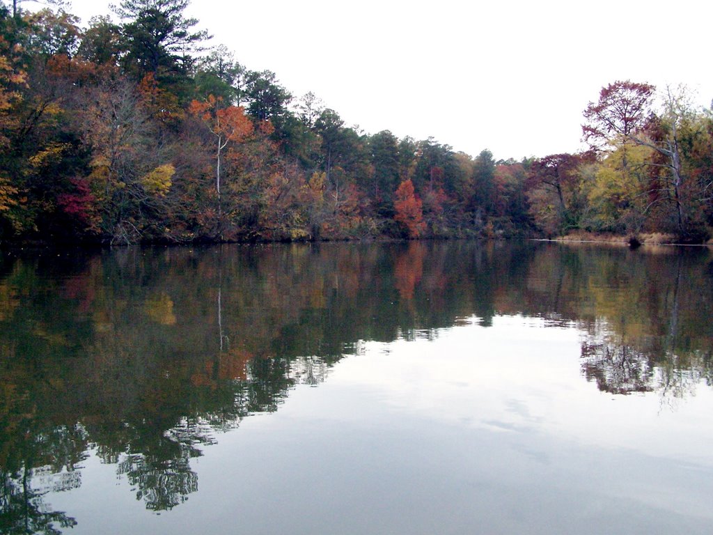 Tombigbee River - November, Бриллиант