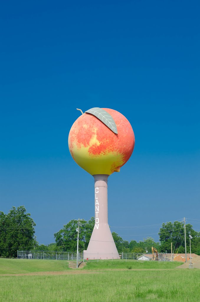Water Tower - Chilton County Landmark, Голдвилл